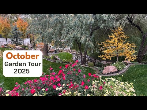 Видео: Октябрьский тур по садам! 2025