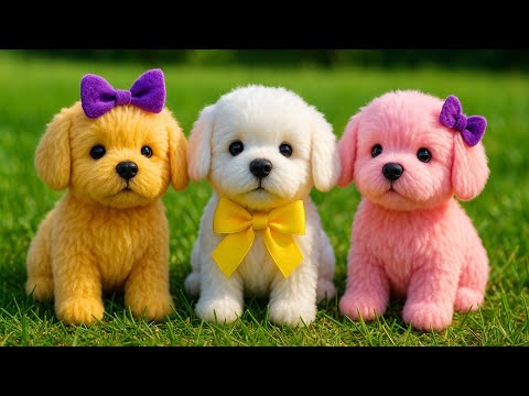 Видео: 😍 Как сделать 3 разных игрушечных собак из носков/💥 Любимая игрушка детей