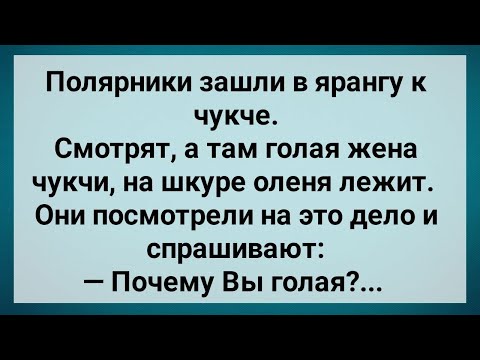 Видео: Полярники Зашли в Гости к Чукче! Сборник Свежих анекдотов! Юмор!.