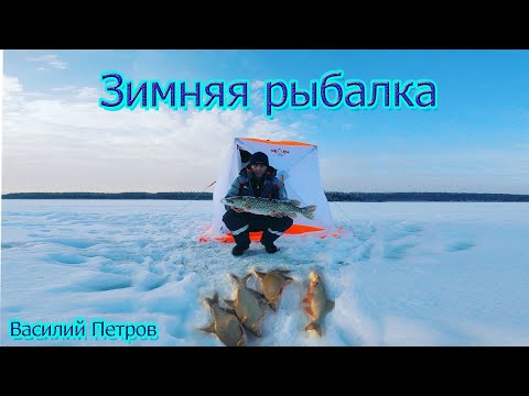 Видео: Ивань.вод.Такого поворота события  я не ожидал.Щука на мотыля,коромысло,да на зимнюю удочку  3,120кг