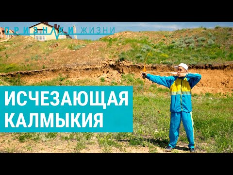 Видео: Сожженные стрелы Калмыкии | ПРИЗНАКИ ЖИЗНИ