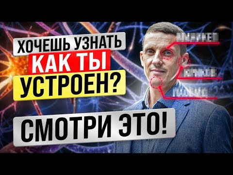 Видео: Интегральный взгляд на психику и личность. Хочешь узнать, как ты устроен, смотри это! НЛУ