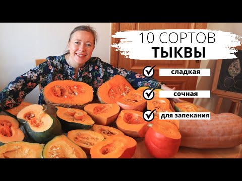 Видео: Выбираю самый вкусный сорт тыквы / 10 сортов тыквы