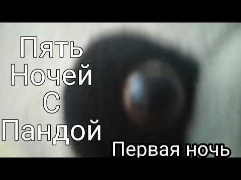 Видео: Пять ночей с пандой : первая ночь