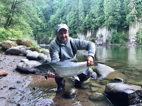 Видео: США, РЫБАЛКА НА ЛОСОСЬ - КИЖУЧ И ЧАВЫЧА