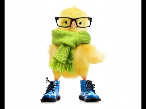 Видео: Әуежай