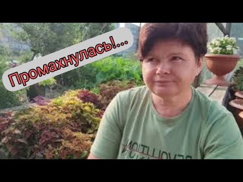 Видео: Мои КОЛЕУСЫ 😏в августе  2022... Работа над ошибками.