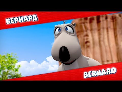 Видео: БЕРНАРД: Марафон и многое другое | Подборка серий