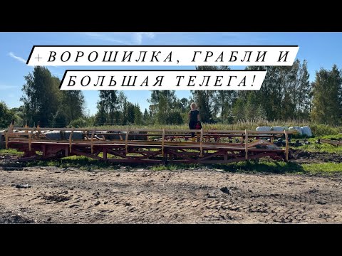 Видео: Купили 3 единицы техники! Начали строить новый дом для быков! Мираторг продает - мы покупаем!