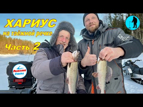 Видео: ✅ ОГРОМНЫЙ ХАРИУС НА ТАЁЖНОЙ РЕКЕ (Часть 2) 🎣🐟🐟🐟Архангельская область. #Рыболов_Севера