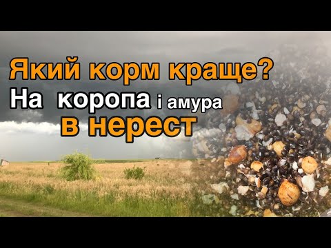 Видео: Рибалка на карпа. Тестування корму на суточну рибалку . На що карп краще реагує?