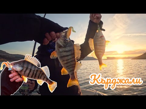 Видео: ХИЩНИЦИ на язовир КЪРДЖАЛИ ! Джиг риболов с ПРИЯТЕЛИ
