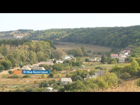 Видео: «Сельский порядок». Новая Таволжанка Шебекинского округа (18.09.2019)