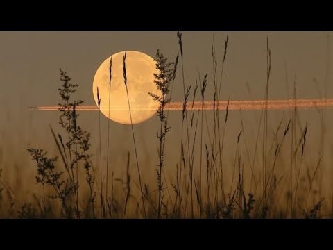 Видео: 💥Какой враг доигрался 😮 