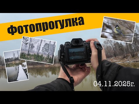 Видео: фотопрогулка 04 11 2025г
