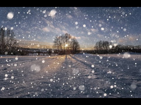 Видео: Tombe la neige. Падает снег.(cover version на песню Salvatore Adamo) студия "Вечерний Кишинёв"