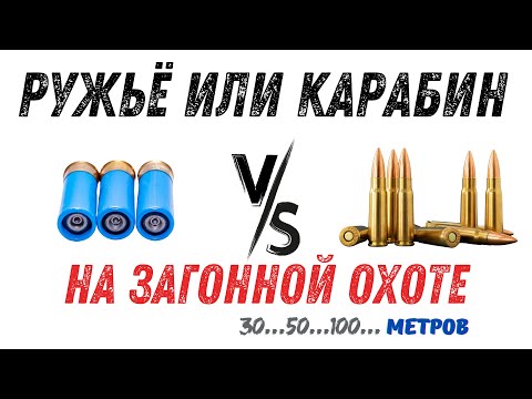Видео: Гладкий или нарезное на загонной охоте?