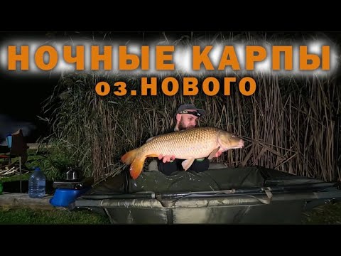 Видео: Ночь на Новом. Дальняя точка!!!