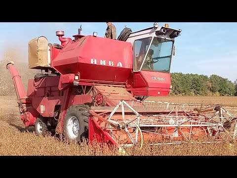 Видео: Комбайни Нива Ск-5М-1, наче повернення в минуле. Допомога товаришу на жнивах