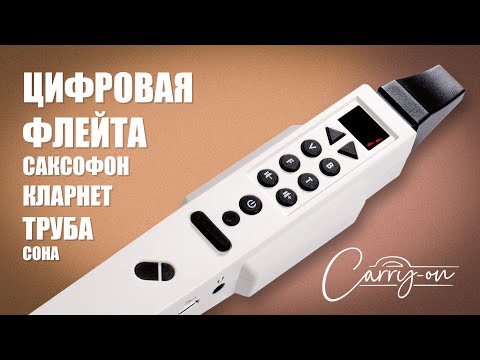 Видео: Цифровая флейта, труба, саксофон, кларнет... Carry-on Digital Wind Instrument