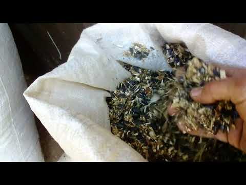 Видео: Пеллетная горелка на всех видах топлива