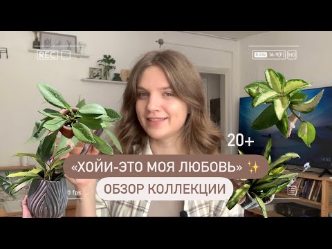 Видео: МОИ ХОЙИ 😍 Обзор комнатных растений дома 🏠 | Часть 2 | Март’25