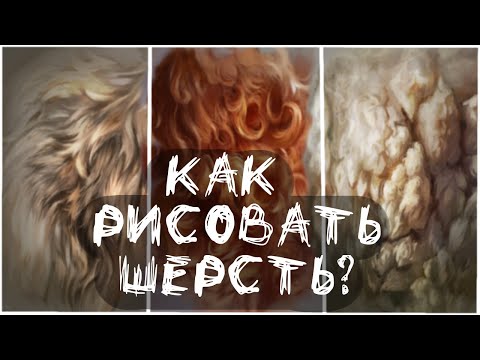 Видео: РЕАЛИСТИЧНАЯ ШЕРСТЬ БЕЗ ЛАЙНА // Как рисовать?