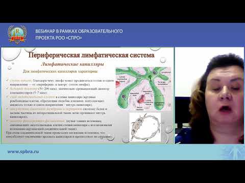 Видео: ВЕБИНАР «СИНДРОМ ПОДМЫШЕЧНОЙ ЛИМФОАДЕНОПАТИИ»