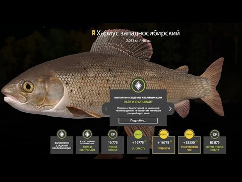 Видео: 📢СТРИМ РР4🔥ПРИЯТНАЯ КОМПАНИЯ ТРОФЕЙНЫЕ РЫБЫ ВОСКРЕСНЫЙ ВЕЧЕР🔥РУССКАЯ РЫБАЛКА 4