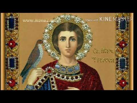 Видео: Акафист святому мученику Трифону Апамейскому 14.02