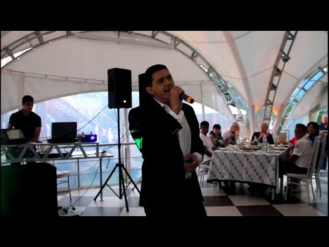 Видео: Аркадий Кобяков - "Моя родная" (Н. Новгород, "Ренессанс" 07. 08.2015)