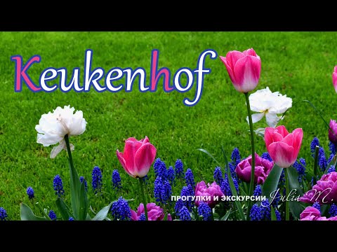 Видео: KEUKENHOF Nederland / Кёкенхоф Нидерланды