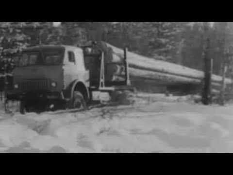 Видео: 1969год.Карелия.Лес...Леспромхоз.