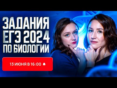 Видео: Что было на ЕГЭ-2024 по биологии: разбор ВСЕХ заданий | ЕГЭ-2025 по биологии