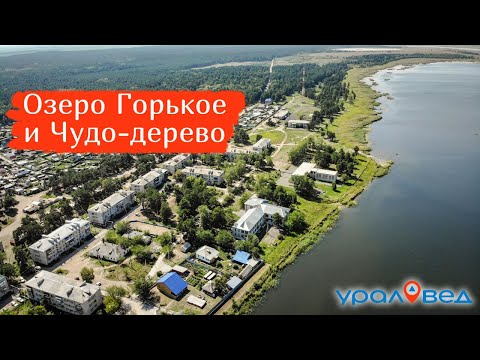Видео: Целебное озеро Горькое и Чудо-дерево. Путешествуем по Курганской области | Ураловед