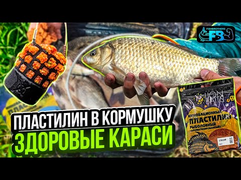 Видео: КРУПНЫЕ КАРАСИ НА РЫБОЛОВНЫЙ ПЛАСТИЛИН! + Краснокнижный бонус!