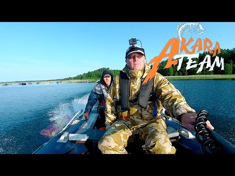 Видео: Так ловят только на PALе!/Чемпионат Беларуси/4 тур ЧРБ 2025
