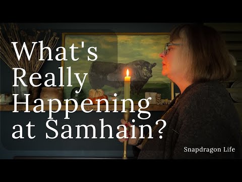 Видео: За пределами фольклора Хэллоуина: что на самом деле показывает нам осень