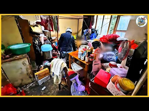 Видео: Крысы захватили дом... пока не появились мы!