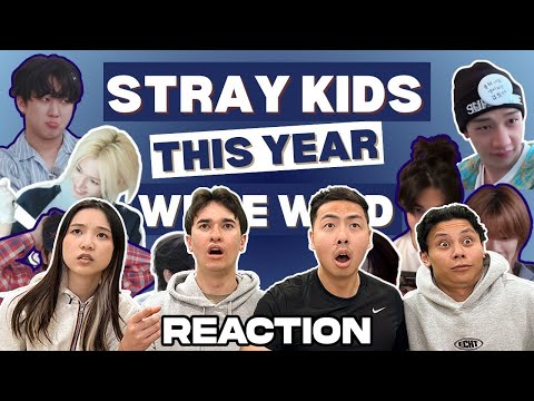 Видео: СМОТРИМ ЗНАКОВЫЕ МОМЕНТЫ STRAY KIDS 2024!