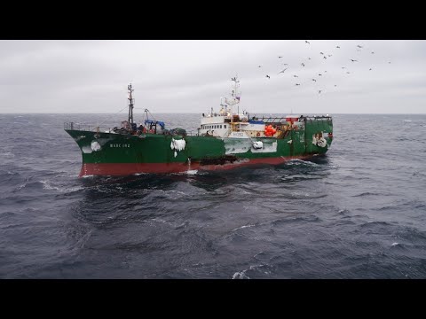 Видео: КП "Шанс 102" - Трудовые будни