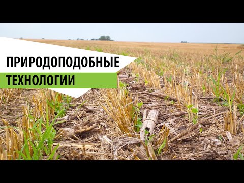 Видео: Агробиотехнологии (природоподобные технологии) Александр Харченко, Оренбург 2021