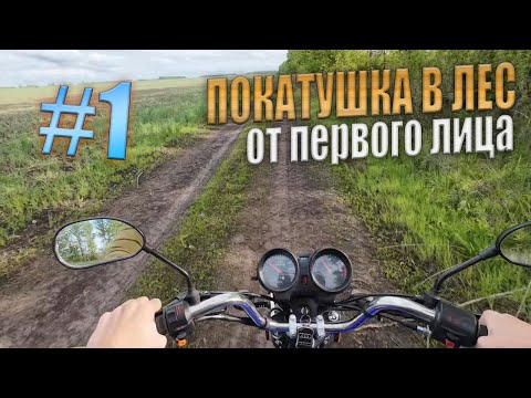 Видео: Покатушка в лес от первого лица на альфе #1.