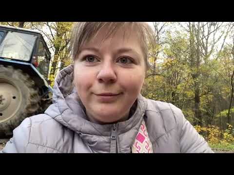 Видео: Набрали води у лісі