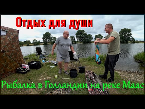 Видео: Рыбалка в Голландии / Отдых для души / Река Маас.