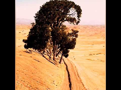 Видео: ФЕЛИКС ЗИГЕЛЬБАУМ/FELIKS ZIGELBAUM: АВТОРСКИЕ ПЕСНИ - СКАНДИНАВСКИЙ АЛЬБОМ.