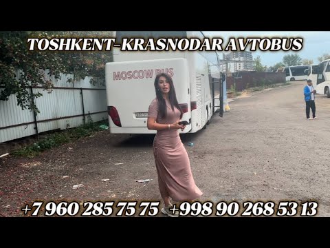 Видео: +79650496969/Krasnodar Toshkent avtobus ,Ростов Ташкент автобус,москва-ташкент автобус