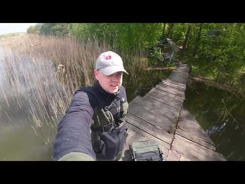 Видео: Поплавок не залишить без риби.