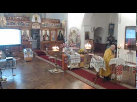 Видео: Молитва за мир 12.11.2025