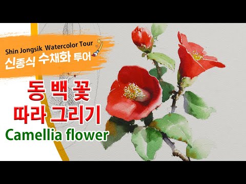 Видео: 신종식수채화투어[동백꽃그리기] watercolor painting TV foundation 水彩画, 水彩畫, Aquarelle, акварельный, Camellia flower